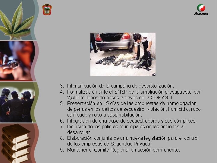 3. Intensificación de la campaña de despistolización. 4. Formalización ante el SNSP de la