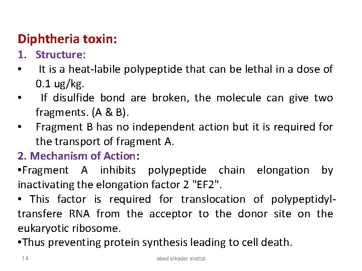Diphtheria toxin: 1. Structure: • It is a heat-labile polypeptide that can be lethal