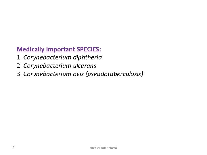 Medically Important SPECIES: 1. Corynebacterium diphtheria 2. Corynebacterium ulcerans 3. Corynebacterium ovis (pseudotuberculosis) 2
