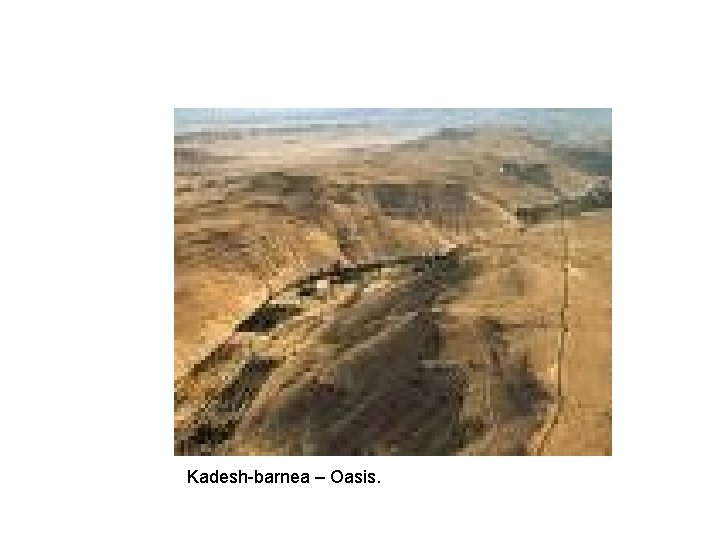 Kadesh-barnea – Oasis. 