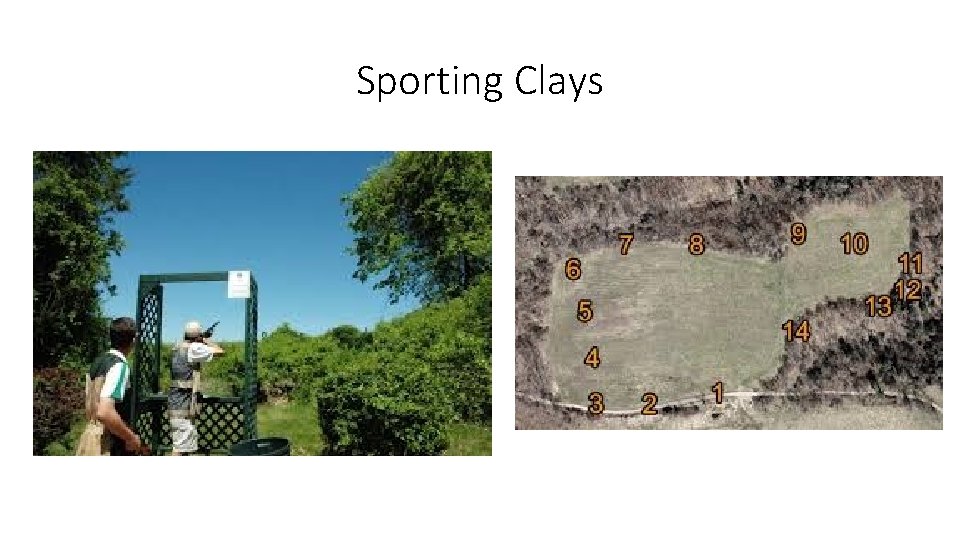 Sporting Clays 