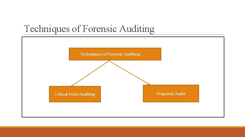 Techniques of Forensic Auditing Critical Point Auditing Propriety Audit 