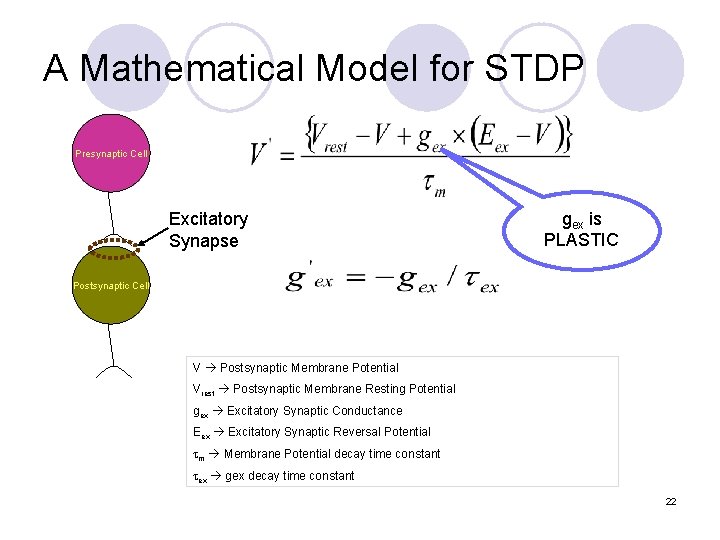 A Mathematical Model for STDP Presynaptic Cell Excitatory Synapse gex is PLASTIC Postsynaptic Cell
