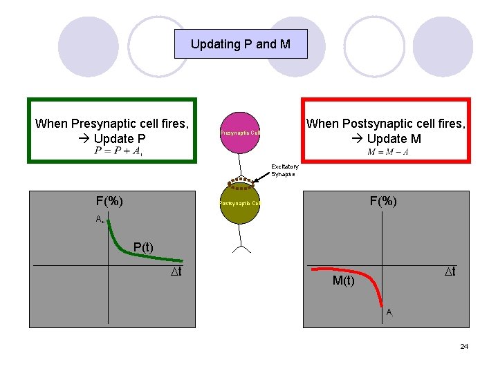 Updating P and M When Presynaptic cell fires, Update P When Postsynaptic cell fires,
