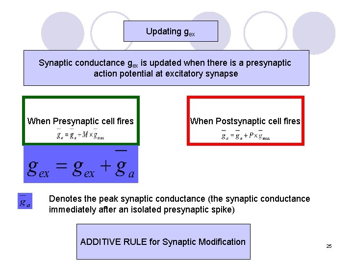 Updating gex Synaptic conductance gex is updated when there is a presynaptic action potential