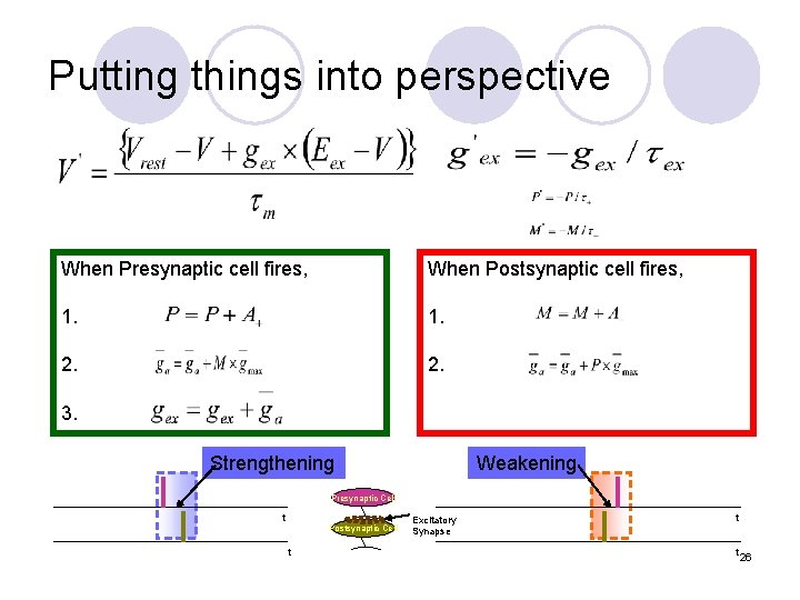 Putting things into perspective When Presynaptic cell fires, When Postsynaptic cell fires, 1. 2.