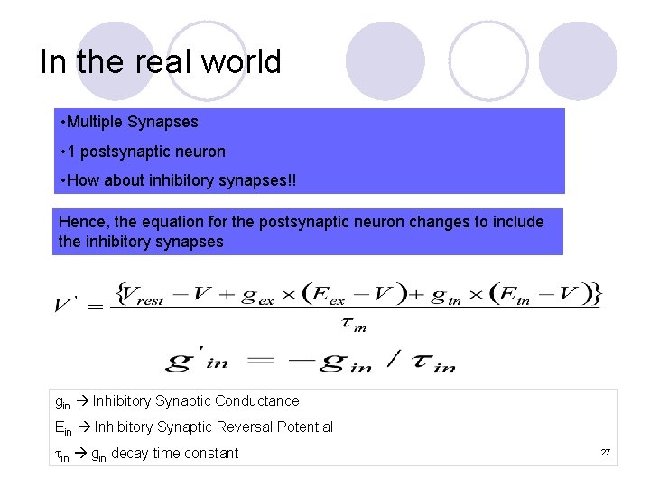 In the real world • Multiple Synapses • 1 postsynaptic neuron • How about
