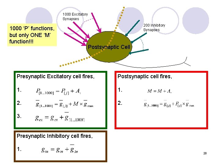 1000 Excitatory Synapses 1000 ‘P’ functions, but only ONE ‘M’ function!!! 200 Inhibitory Synapses