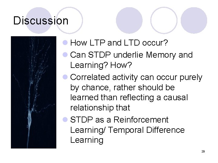 Discussion l How LTP and LTD occur? l Can STDP underlie Memory and Learning?