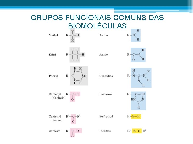 GRUPOS FUNCIONAIS COMUNS DAS BIOMOLÉCULAS 