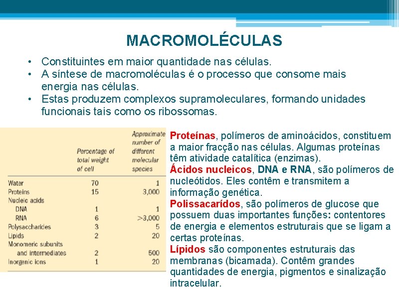 MACROMOLÉCULAS • Constituintes em maior quantidade nas células. • A síntese de macromoléculas é