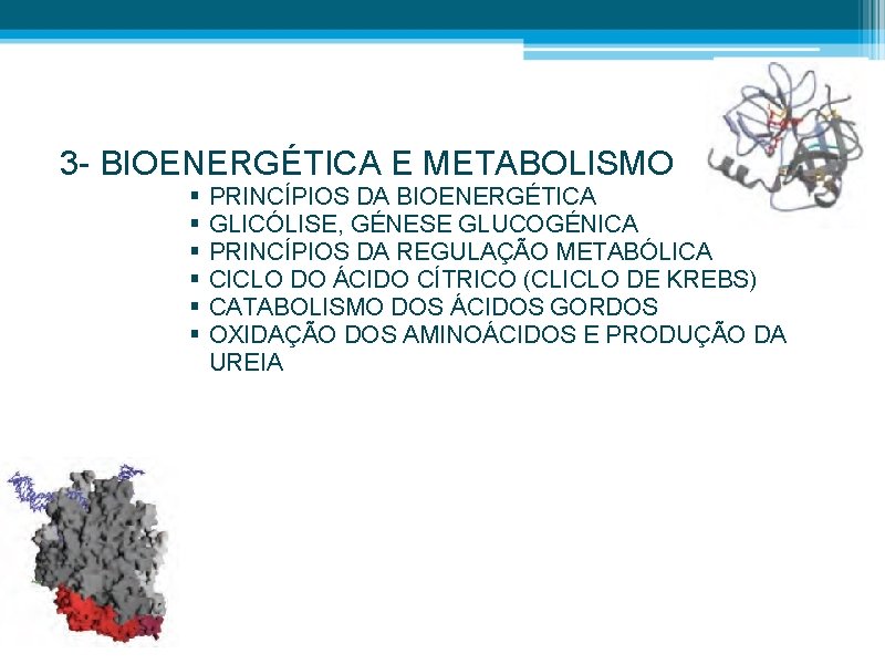 3 - BIOENERGÉTICA E METABOLISMO § § § PRINCÍPIOS DA BIOENERGÉTICA GLICÓLISE, GÉNESE GLUCOGÉNICA