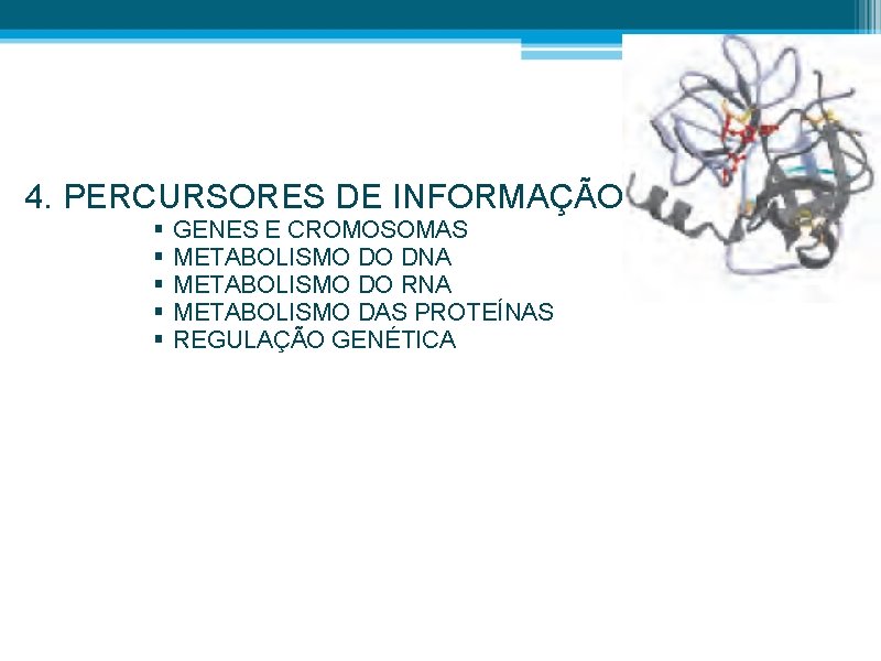 4. PERCURSORES DE INFORMAÇÃO § § § GENES E CROMOSOMAS METABOLISMO DO DNA METABOLISMO