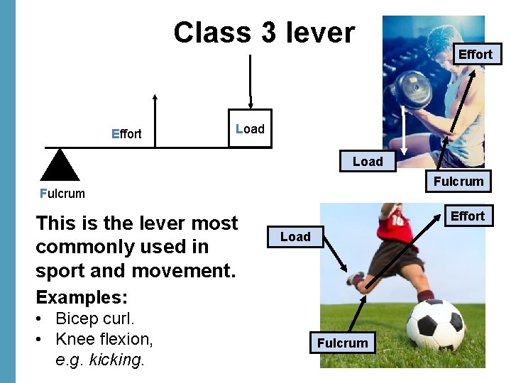 Class 3 lever Effort Load Fulcrum This is the lever most commonly used in