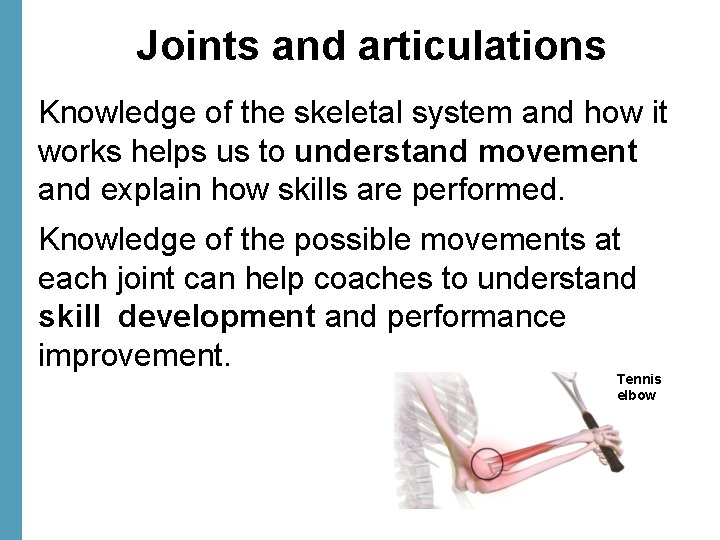 Joints and articulations Knowledge of the skeletal system and how it works helps us