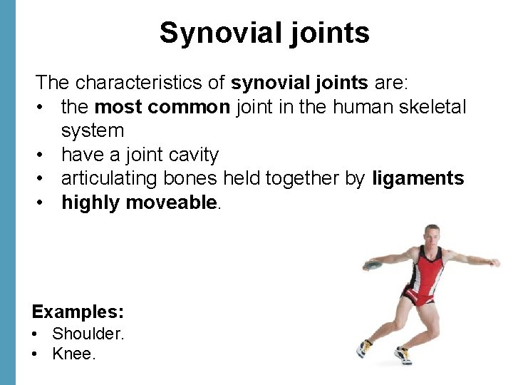 Synovial joints The characteristics of synovial joints are: • the most common joint in