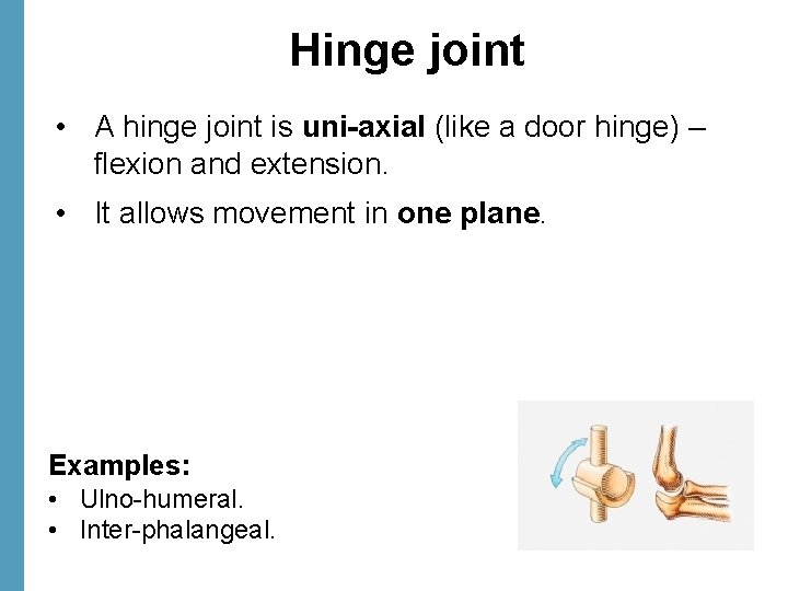 Hinge joint • A hinge joint is uni-axial (like a door hinge) – flexion