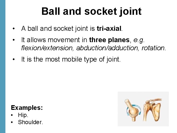 Ball and socket joint • A ball and socket joint is tri-axial. • It