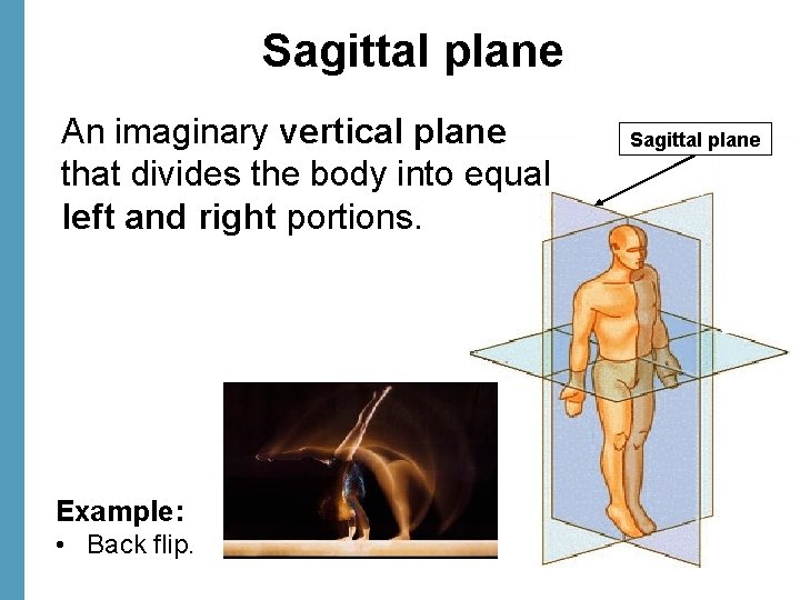 Sagittal plane An imaginary vertical plane that divides the body into equal left and