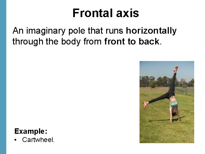 Frontal axis An imaginary pole that runs horizontally through the body from front to
