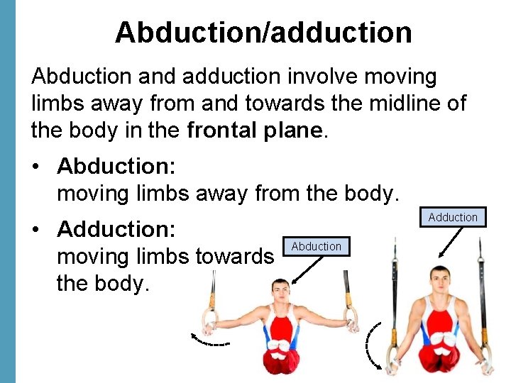 Abduction/adduction Abduction and adduction involve moving limbs away from and towards the midline of