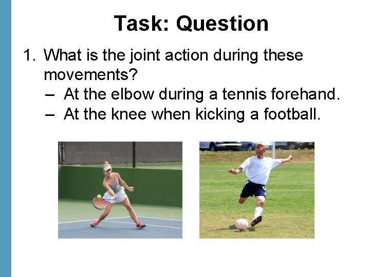 Task: Question 1. What is the joint action during these movements? – At the