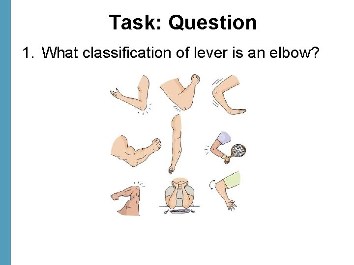 Task: Question 1. What classification of lever is an elbow? 