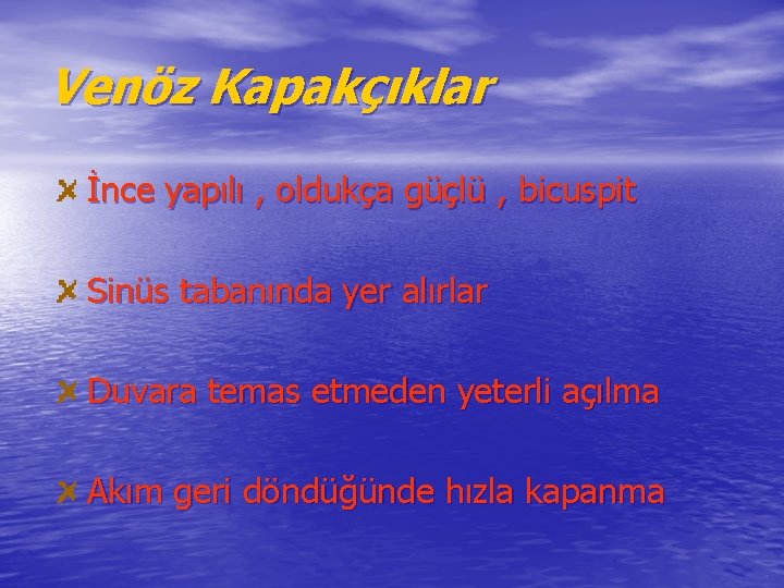 Venöz Kapakçıklar İnce yapılı , oldukça güçlü , bicuspit Sinüs tabanında yer alırlar Duvara