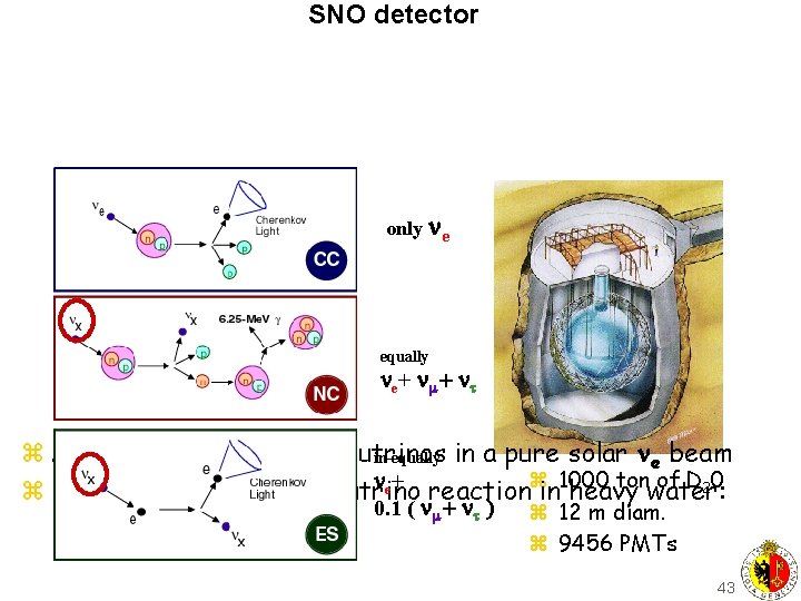 SNO detector only e equally e + t z Aim: measuring non e neutrinos