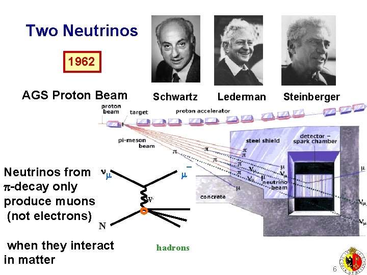 Two Neutrinos 1962 AGS Proton Beam Neutrinos from p-decay only produce muons (not electrons)