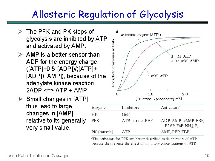 Allosteric Regulation of Glycolysis The PFK and PK steps of glycolysis are inhibited by