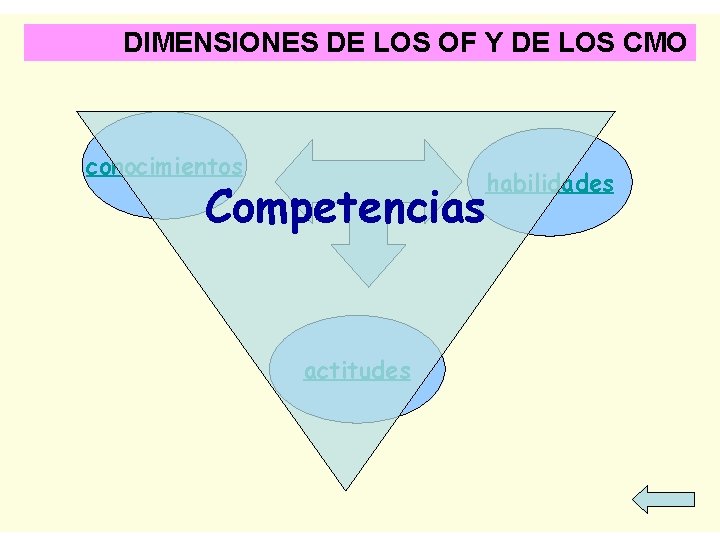 DIMENSIONES DE LOS OF Y DE LOS CMO ¿ Qué conocimientos tienen los participantes