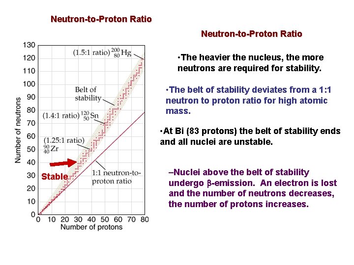 Neutron-to-Proton Ratio • The heavier the nucleus, the more neutrons are required for stability.