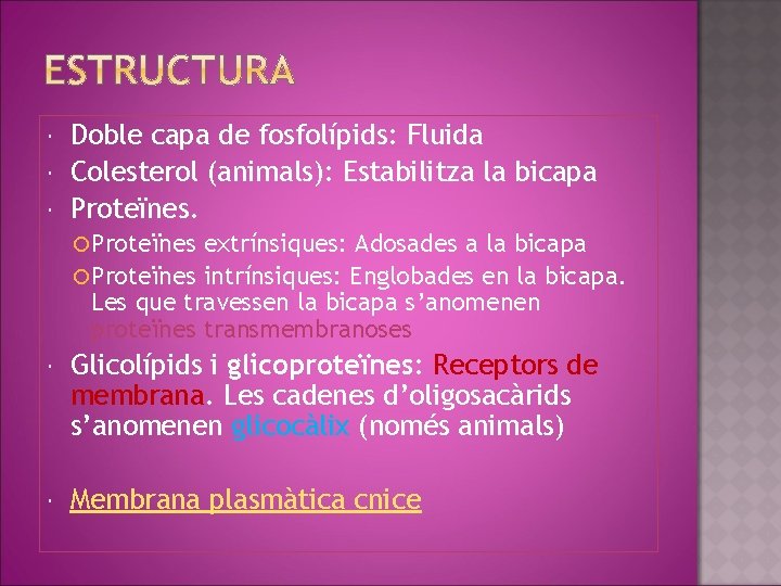  Doble capa de fosfolípids: Fluida Colesterol (animals): Estabilitza la bicapa Proteïnes extrínsiques: Adosades