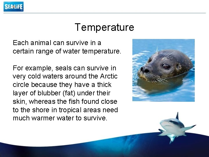 Temperature Each animal can survive in a certain range of water temperature. For example,