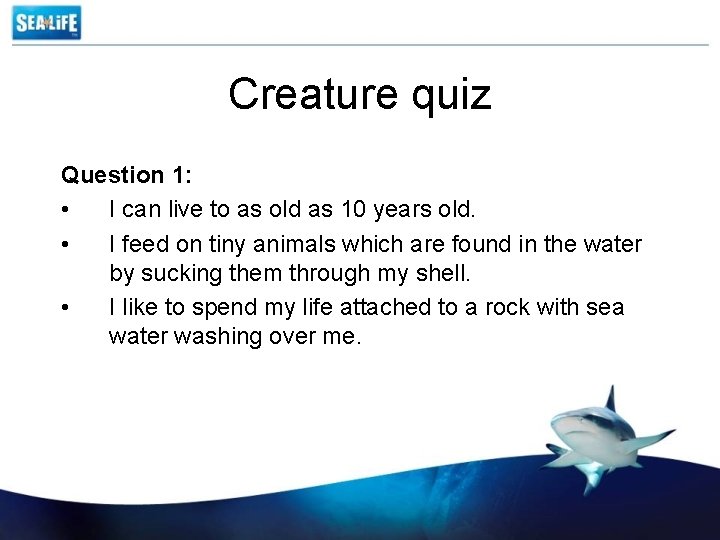 Creature quiz Question 1: • I can live to as old as 10 years