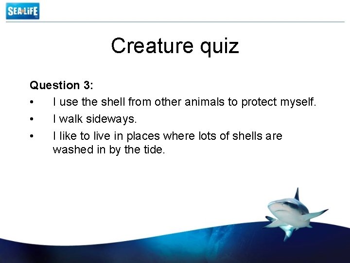 Creature quiz Question 3: • I use the shell from other animals to protect