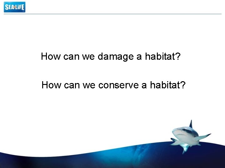 How can we damage a habitat? How can we conserve a habitat? 