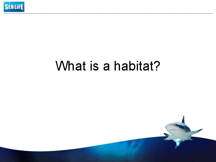 What is a habitat? 