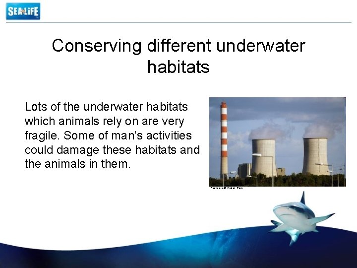 Conserving different underwater habitats Lots of the underwater habitats which animals rely on are