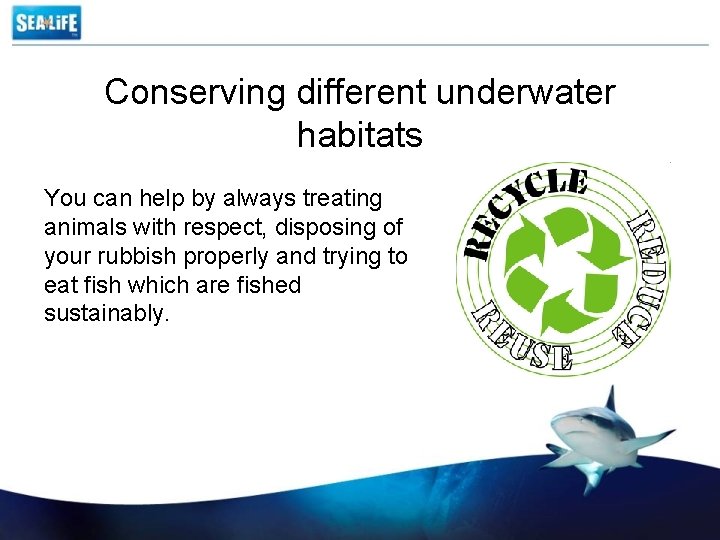 Conserving different underwater habitats You can help by always treating animals with respect, disposing