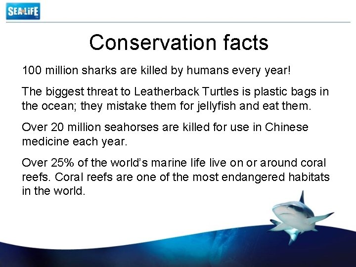 Conservation facts 100 million sharks are killed by humans every year! The biggest threat