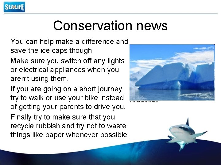 Conservation news You can help make a difference and save the ice caps though.