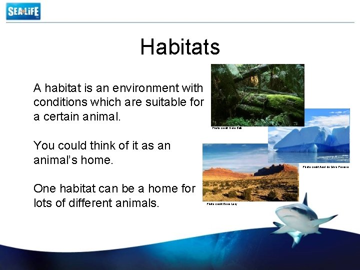 Habitats A habitat is an environment with conditions which are suitable for a certain