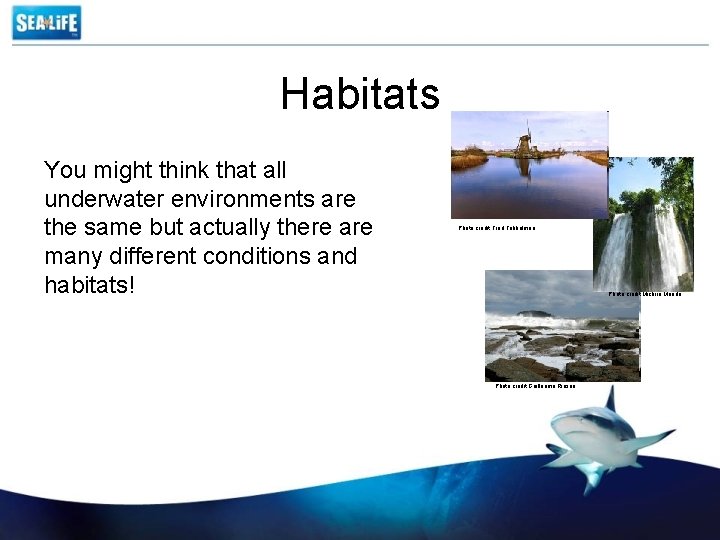 Habitats You might think that all underwater environments are the same but actually there