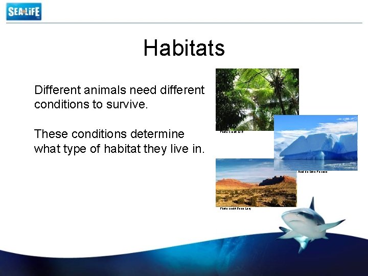 Habitats Different animals need different conditions to survive. These conditions determine what type of