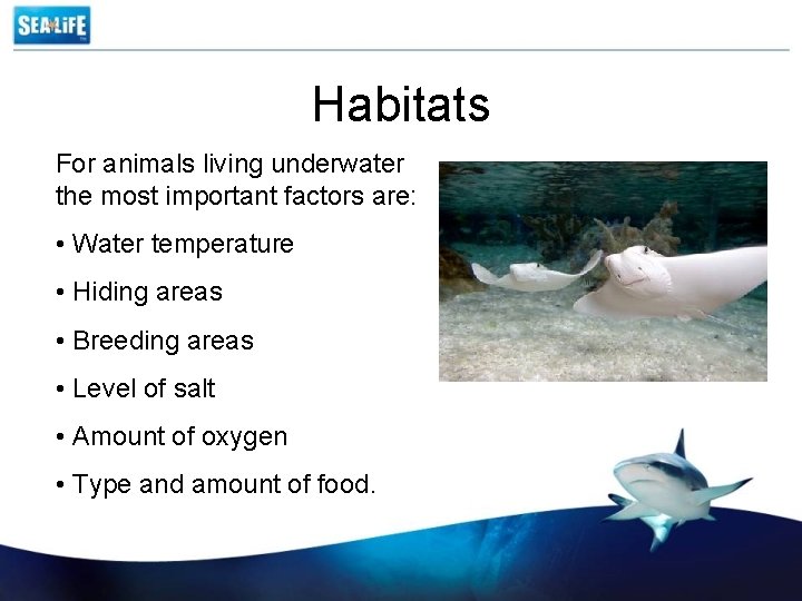 Habitats For animals living underwater the most important factors are: • Water temperature •