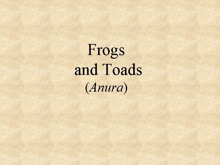 Frogs and Toads (Anura) 