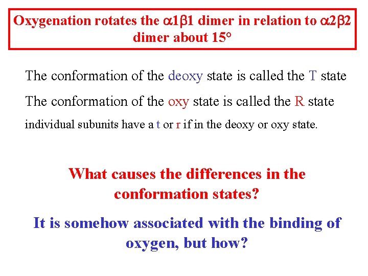 Oxygenation rotates the a 1 b 1 dimer in relation to a 2 b