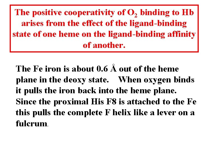 The positive cooperativity of O 2 binding to Hb arises from the effect of